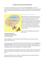 Oxidation of Fatty Acids and Ketone Bodies - Asma Bashir