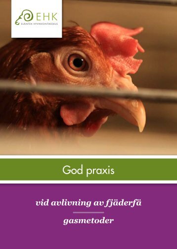 God praxis - Eläinten hyvinvointikeskus - Edublogs