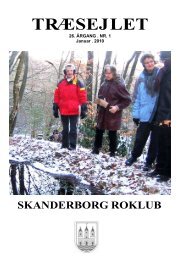 2010-01 - Skanderborg Roklub
