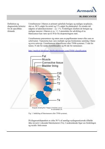 Blærekræft (PDF) - Armoni