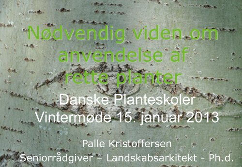 Højstammede gade- og vejtræer - Danske Planteskoler