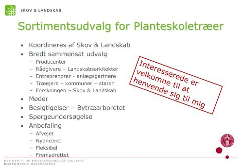 Højstammede gade- og vejtræer - Danske Planteskoler