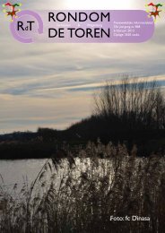 868 - Rondom de Toren