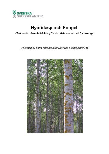 Ladda hem - Svenska Skogsplantor AB