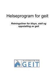 Helseprogram for geit