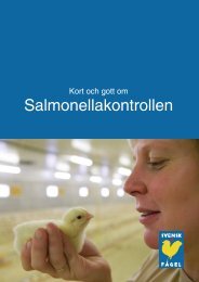 Kort och gott om salmonellakontrollen (.pdf) - Svensk Fågel