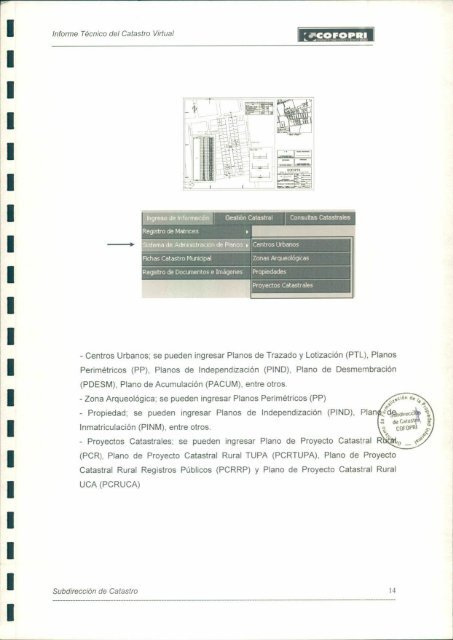 Informe Técnico del Catastro Virtual - Cofopri