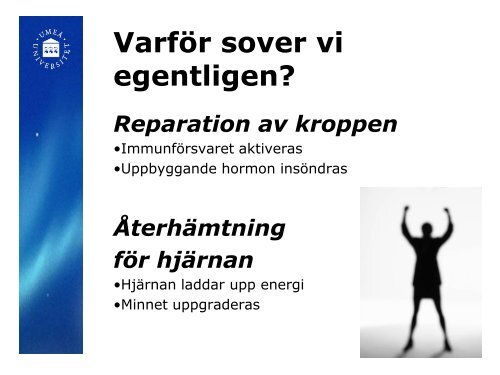 Fakta om sömn - Umeå universitet