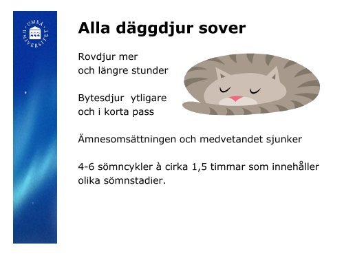 Fakta om sömn - Umeå universitet