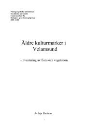 Inventering av flora och vegetation - Velamsund