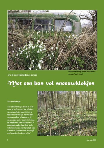 Sneeuwklokjesbossen op Texel - Stichting Oase