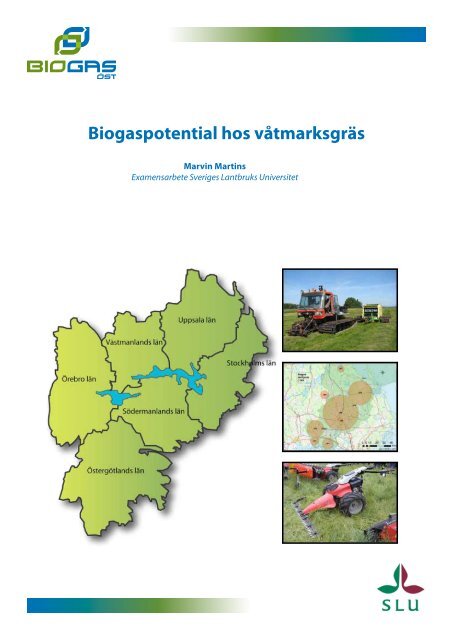 Biogaspotential hos våtmarksgräs - Biogas Öst
