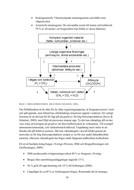 Biogaspotential hos våtmarksgräs - Biogas Öst