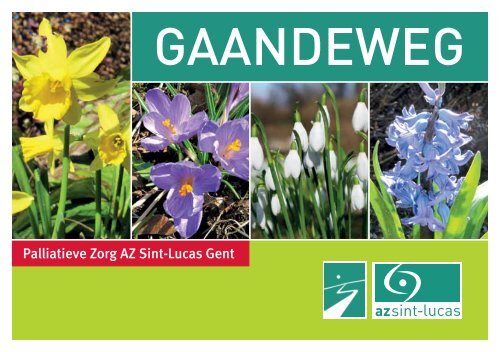 Gaandeweg 2012_1 - AZ Sint-Lucas