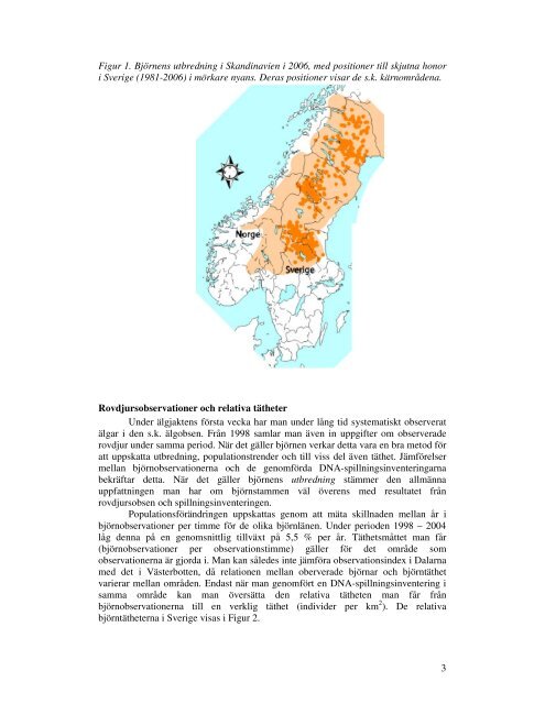 Björnen i Sverige En rapport från Skandinaviska ... - NINA