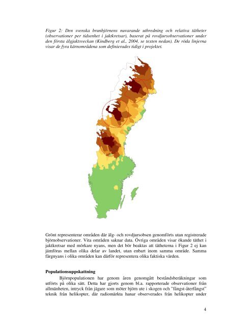 Björnen i Sverige En rapport från Skandinaviska ... - NINA