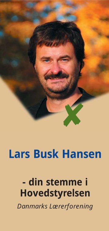 Lars Busk Hansen - Folkeskolen