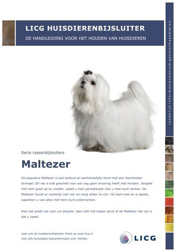 Download de huisdierenbijsluiter Maltezer - Licg