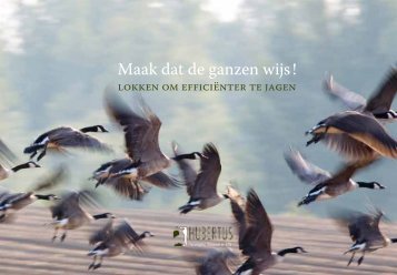 Maak dat de ganzen wijs ! - JachtInfo