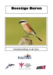 voorbereiding klas