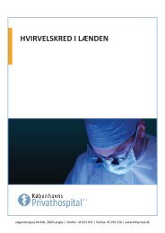 Hvirvelskred i lænden.pdf