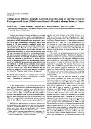 Antagonistic Effect of Salicylic Acid and ... - Plant and Cell Physiology