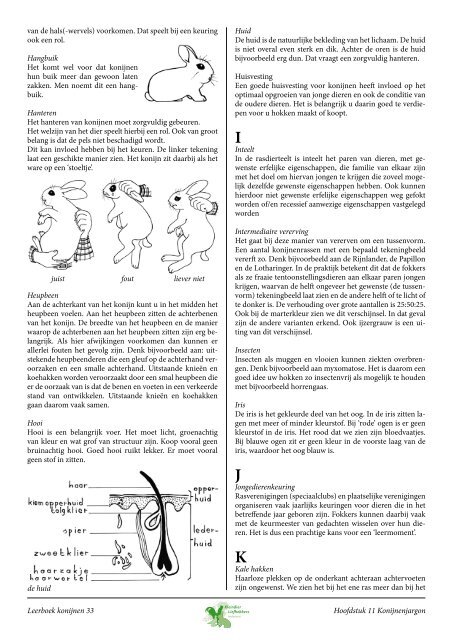 Leerboek Konijnen - Kleindier Liefhebbers Nederland