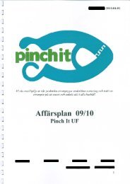 Affärsplan 09/10 Pinch It UF