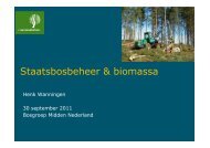 Biomassa - Henk Wanningen