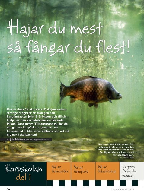 PDF-format - Till sportfiskebilder.se