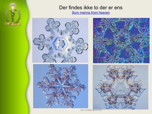 Hellig geometri, Skaberens aftryk og udtryk, livets opståen - Alcyone