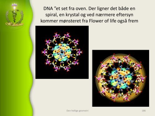 Hellig geometri, Skaberens aftryk og udtryk, livets opståen - Alcyone