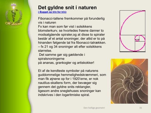 Hellig geometri, Skaberens aftryk og udtryk, livets opståen - Alcyone