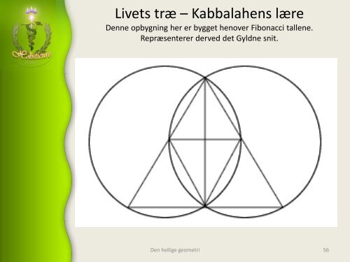 Hellig geometri, Skaberens aftryk og udtryk, livets opståen - Alcyone