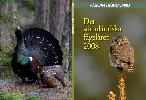 Omslag Årsbok 2009.indd - FSO