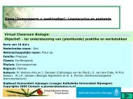 2 - Virtual Classroom Biologie - Radboud Universiteit