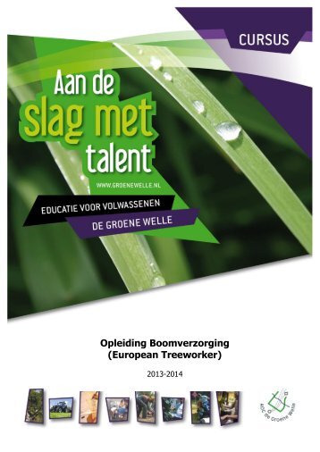 Opleiding Boomverzorging (European Treeworker) - De Groene Welle