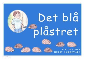 Det blå plåstret - Bildstugan i Lund, Berit Jardevall