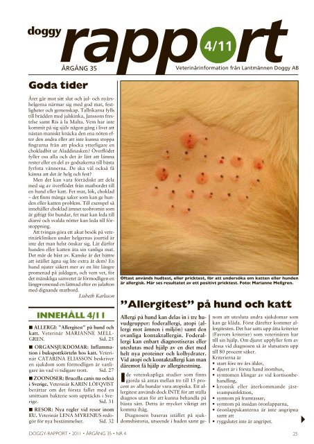 Goda tider ”Allergitest” på katt -