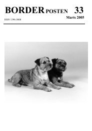 BORDERPOSTEN 33 - Border terriers i DTK