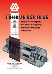 Führungsringe