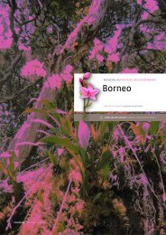 Borneo - Download hier