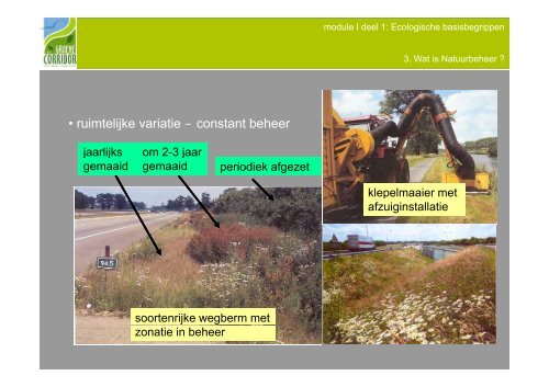 inleiding ecologie - Regionaal Landschap Groene Corridor (RLGC)