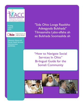 How to Navigate Social Services in Ohio - Multiethnic Advocates for ...