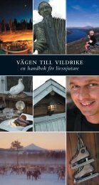 vägen till vildrike - Futura Light Reportage