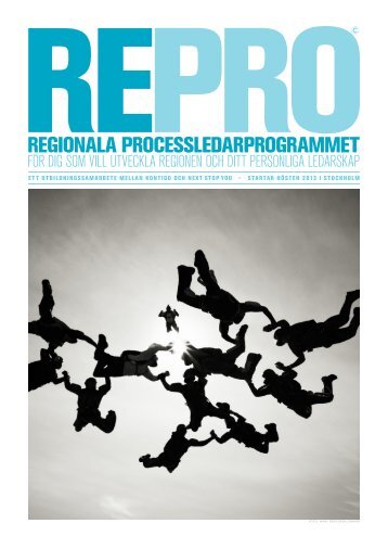 RePro.2013 - Kontigo