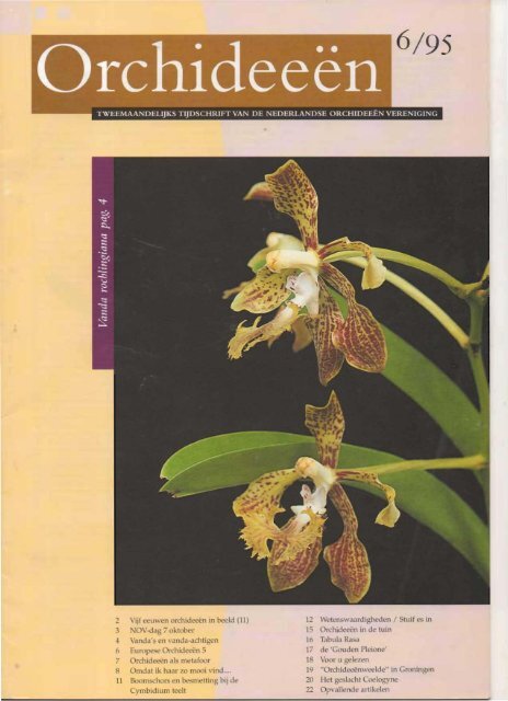 1995 - 6 - Orchideeën Vereniging Vlaanderen