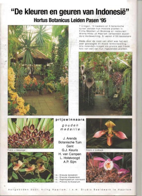 1995 - 6 - Orchideeën Vereniging Vlaanderen