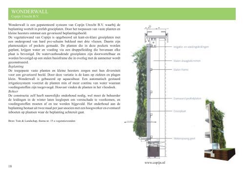 Groene gevels - Muurtuin.be