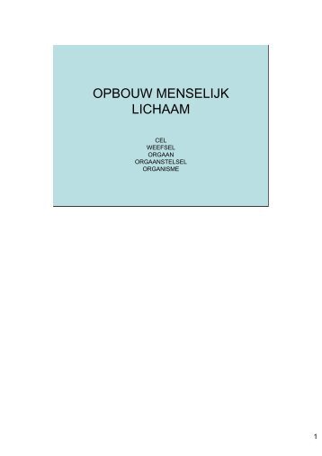 OPBOUW MENSELIJK LICHAAM